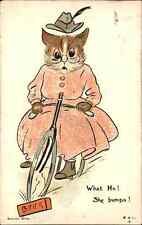 Cat Fantasy Bicycle Lady Louis Wain c1905 Vintage Postcard picture