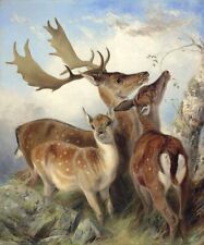 Oil painting wild animal family in landscape Fallow-Deer-Richard-Ansdell canvas picture