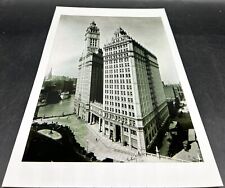 Vintage Large Photo Of The Wrigley Building 14” X 9.5” picture