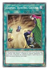 Harpies' Hunting Ground LED4-EN009 Common Yu-Gi-Oh Card 1st Edition New picture