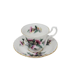 Royal Albert Summertime Series Avebury Teacup and Saucer Vintage picture