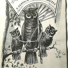 Anthropomorphic OWL Sign Apothecary QUACK Doctor Night Victorian Trade Card 5554 picture