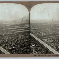 c1900s SHARP Chicago Great Union Stock Yard Factory Cattle Photo Stereoview V42 picture