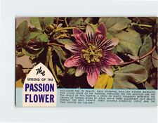 Postcard The Legend Of The Passion Flower picture