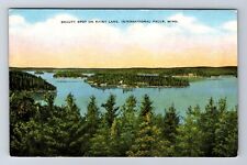 International Falls MN-Minneapolis, Beauty Spot on Rainy Lake, Vintage Postcard picture