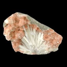 Rare Scolecite Reddish Heulandite Mineral Specimen: Unique Addition #EB 19 picture