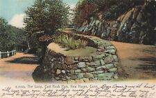 New Haven, Connecticut Postcard East Rock Park Loop Rotograph PM 1907   F2* picture