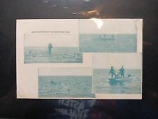  Hunting/Fishing Postcard Collection. picture