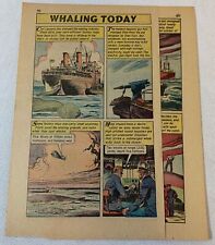 1960 two and a half page cartoon story ~ WHALING TODAY picture