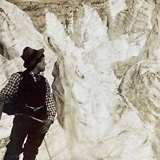 Antique 1903 Mountain Explorer In Rockies BC Canada Stereoview Photo Card P4215 picture