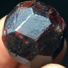 50g Natural RED Pyrope Garnet Crystal Gemstone Rough Mineral Specimen picture