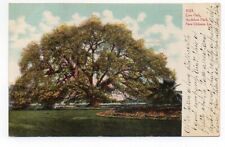 UDB Postcard,Live Oak, Audubon Park, New Orleans, La., Louisiana, 1907 picture