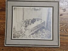 13 3/4 x 11 1/2 Large Post Mortem Cabinet Card Old White Woman Finger Rot picture