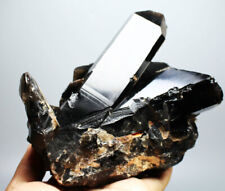 2.84lb Natural Rare Beautiful Black QUARTZ Crystal Cluster Mineral Specimen picture