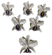 6x Vintage Pia Phillipines Lily Bone China Napkin Ring Holders Flowers 1986 picture