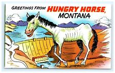 Hungry Horse Montana Greetings Postcard Horse Smiling Comic   pc28 picture