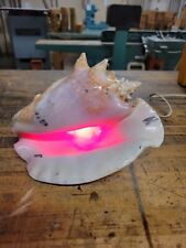 Vintage Real Conch Shell Nite Lite Big picture