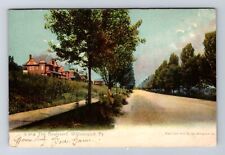 Williamsport PA-Pennsylvania, The Boulevard, Antique, Vintage c1906 Postcard picture