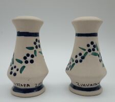 Mexican Pottery Tonala Salt And Pepper Signed Ixtapa Zihuatanejo Blue Flowers picture