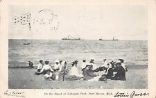 Port Huron MI Michigan Lakeside Park Beach Early 1900s Ship UDB Vtg Postcard A4 picture