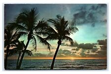 Postcard Sun on the Horizon in Florida FL 1971 D123 picture