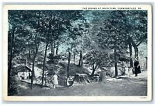 c1930's The Spring At Irvin Park Curwensville Pennsylvania PA Vintage Postcard picture