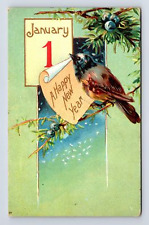 c1908 Happy New Year Embossed Cowbird? Spruce Tree UDB Postcard Posted Dayton OH picture