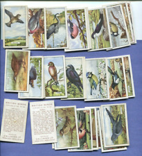 1937 GALLAHER LTD CIGARETTES BRITISH BIRDS 48 DIFFERENT COMPLETE CARD SET picture
