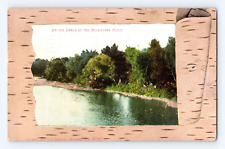 Vintage Old Postcard Banks of Milwaukee River 1908 WIS Cancel picture