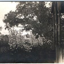 c1910s Charming House Front Yard RPPC Adam's Needle Flower Bloom Real Photo A143 picture