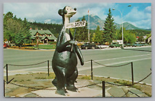 Vintage Postcard Jasper the Bear Canadian Rockies Jasper National Park Alberta picture