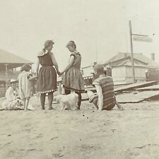 Antique Photo Board Mounted Group on Beach Bathing Suits Small Dog Bathing House picture