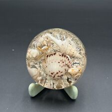 Vintage Lucite Sea Shell Paperweight Vomit Ocean 4” picture