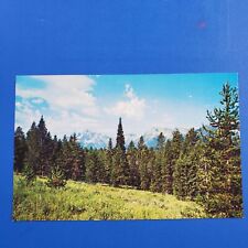 Scene from the Inter Loop Teton Range Wyoming Postcard Chrome Divided picture