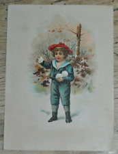 Victorian Trade Card ALBION MFG CO. Albion Michigan Albion Spring Tooth  picture
