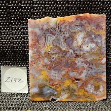 Stunning Red/Gold/Purple Moss Agate Slab, Cab/Collect, Gorgeous Colors, Mexico picture