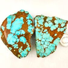 GS491 Thick-cut Nevada #8 turquoise rough slabs 168.1gr picture