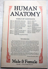 Details about Human Anatomy Male & Female medical booklet Rodale Press 1978 picture