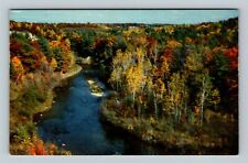 Newaygo MI The Muskegon River Scenic Center Color Tour Michigan Vintage Postcard picture