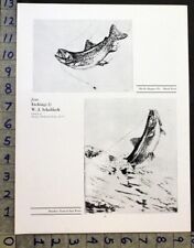 1928 SPORT FISHING BROOK TROUT RAINBOW WILLIAM J SCHALDACH INSERT PRINT 30486 picture