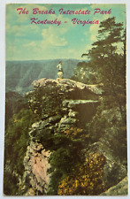 Scenic View Lookout Breaks Interstate Park Kentucky KY Virginia VA VTG Postcard picture