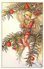 Flower Fairy Postcard: Pensive Yew Fairy Sits on Yew Branch picture