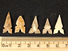 Lot of FIVE Nice Triple Notch Ancient North African Tidikelt Arrowhead s 6.03 picture