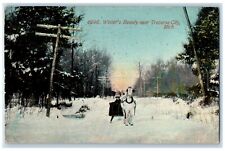 c1910's Winter's Beauty Near Traverse City Michigan MI, Horse Sleigh Postcard picture