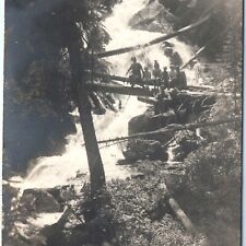 c1910s Stunning Adventurous Family RPPC Kids Danger Pose Tree Bridge Photo A161 picture