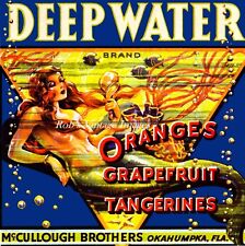  Okahumpka Florida Deep Water Mermaid Orange Fruit Crate Label Art Print picture
