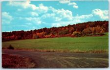 Postcard - Nature's Colorful Landscape picture