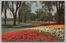 Flowers~The Stunning Tulip Gardens Of Ottawa Ontario Canada~Vintage Postcard picture
