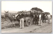 RPPC Portugal Men with Donkey Carts Air Force Cancel 1961 Photo Postcard picture