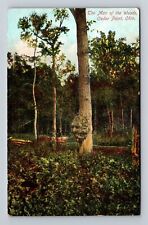 Cedar Point OH-Ohio, The Man Of The Woods, Antique, Vintage Postcard picture